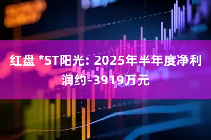 红盘 *ST阳光: 2025年半年度净利润约-3919万元