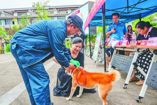 长富配资 “疫苗接种+礼包发放” 守护养宠安全